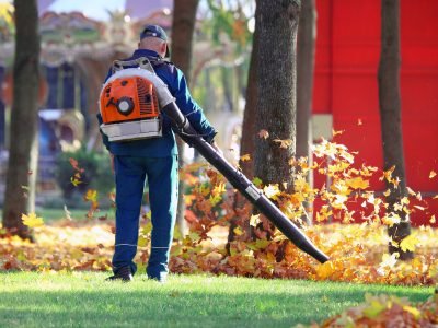 Spring & fall cleanups 